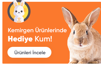 OFİS KARELERİ