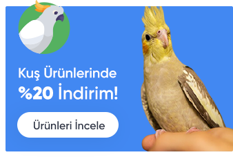 İŞYERİ İÇERİKLER
