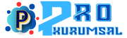 Proyazilim kurumsal web sitesi